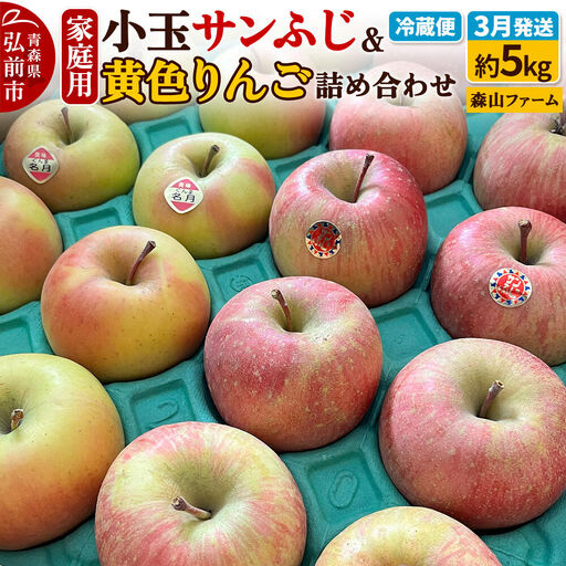 りんご サンふじ&黄色りんご 家庭用 約5kg 小玉 3月クール便発送