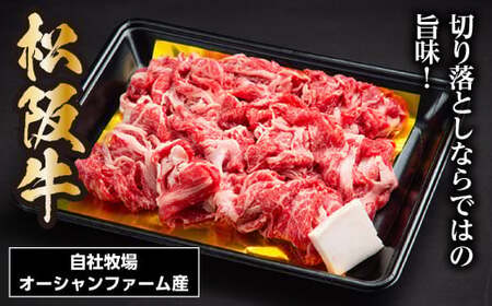松阪牛 切り落とし 400g/ 冷凍 瀬古食品 JGAP認定 松阪肉 名産 お取り寄せグルメ 牛肉 お肉 肉 和牛 黒毛和牛 国産 国産牛 松阪牛 ブランド牛 ご自宅用 切落し モモ 肩ロース スライス 薄切り 家庭用 三重県 大台町 (0029)
