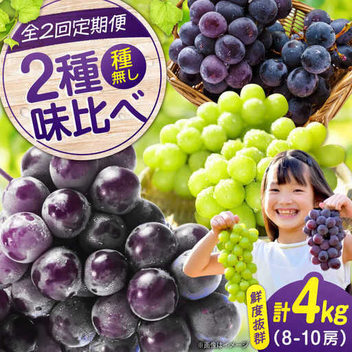 ぶどう【全2回定期便】ピオーネ マスカット 各2kg（計2種）[BAEV014] ぶどう
