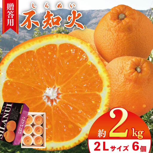 [不知火] 約 2kg (2Lサイズ 6個 ) 不知火 みかん しらぬい