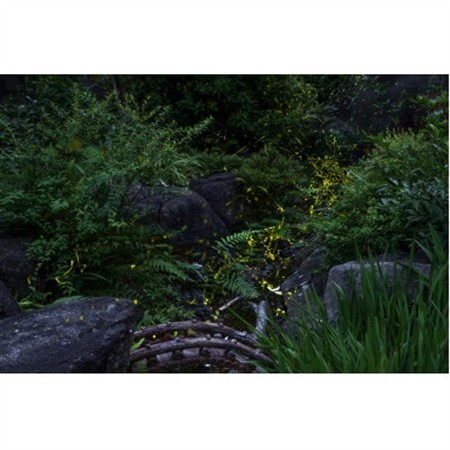 天理の風景5『 THE GARDEN OF DELIGHT 』2Lメタルグラフィックアート【1714783】