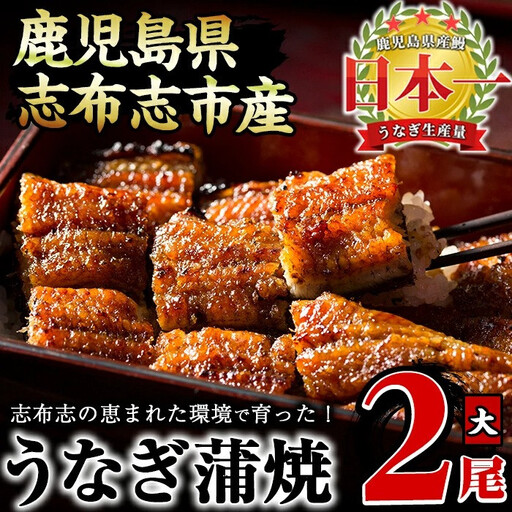 うなぎの大楠＜大＞2尾セット計300g(150g×2) うなぎ 鰻 ウナギ 2尾 国産 九州産 蒲焼き かばやき 冷凍 うな重 ひつまぶし タレ 山椒 真空パック ランキング 人気 a5-244