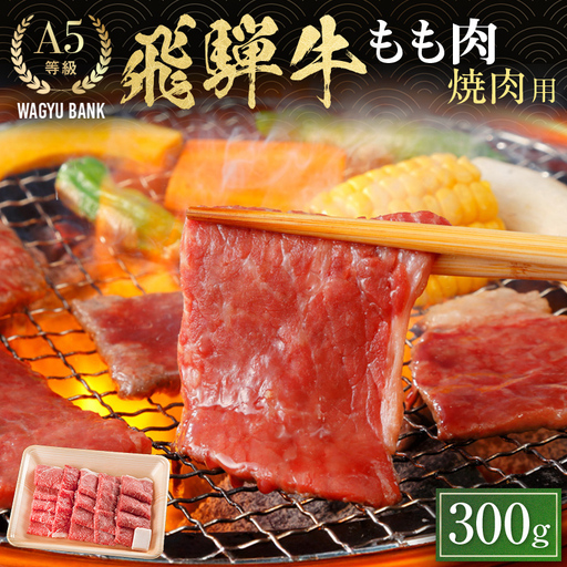 飛騨牛もも肉 焼肉用 300g 飛騨牛 A5等級 和牛 黒毛和牛 F4N-2665