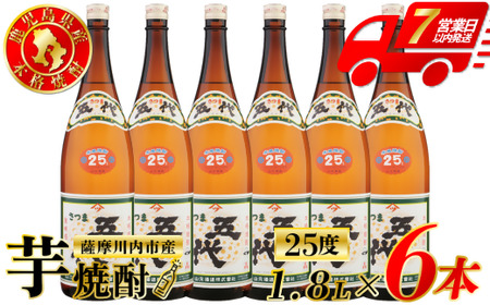 五代 芋焼酎 25度 1800ml×6本 山元酒造 芋焼酎 芋 焼酎 おすすめ 人気 焼酎 ロック 水割り お湯割り 焼酎ハイボール お酒 DSR-625
