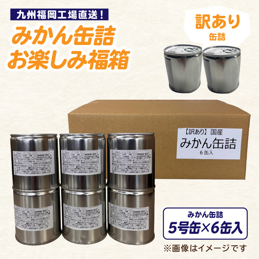九州福岡工場直送！ 【訳あり】 もったいな果シリーズ みかん缶詰 お楽しみ 福箱 温州みかん もったいない 訳あり 備蓄 保存 福岡県 八女市 007-038