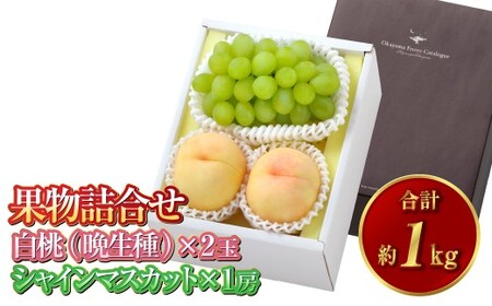 果物詰合せ 合計約1.0kg(白桃(晩生種)2玉・シャインマスカット 1房)岡山 白桃 シャインマスカット セット 詰め合わせ ギフト 贈り物 フルーツ 果物 白麗 瀬戸内白桃[2026年8月下旬〜9月下旬 発送予定]