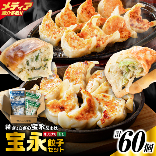 手包み餃子 ぎょうざの宝永 しそ餃子60個セット（宝永餃子15個入×2袋・しそ餃子15個入×2袋） T004-004 惣惣菜 総菜 ギョウザ しそ餃子 餃子