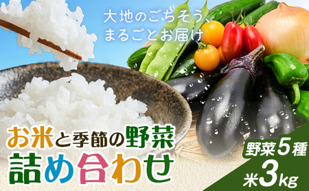 米 野菜 詰め合わせ 季節の野菜 きぬむすめ ひのひかり おまかせ 米3kg+野菜5種 ありがとう園[30日以内に出荷予定(土日祝除く)]岡山県 矢掛町 お米 白米 旬の野菜