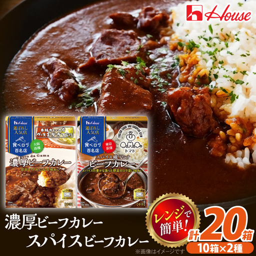 カレー レトルト ハウス 選ばれし人気店 濃厚ビーフカレー&スパイス織りなすビーフカレー 各10個 計20個