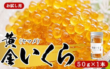 [お試し用][幻の珍味]「黄金いくら」1本セット(ヤマメの卵醤油漬け) いくら イクラ 魚卵 小分け 数量限定 旬 人気 贈答 美味しい ヤマメ 鱒 冷凍 お取り寄せ