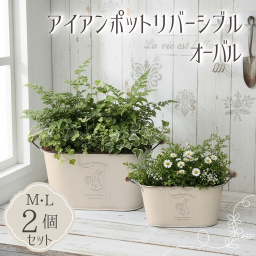 アイアンポット リバーシブル オーバル M L 2個セット