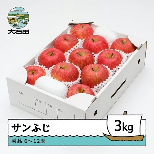 令和8年産 りんご サンふじ 約3kg ns-risfx3
