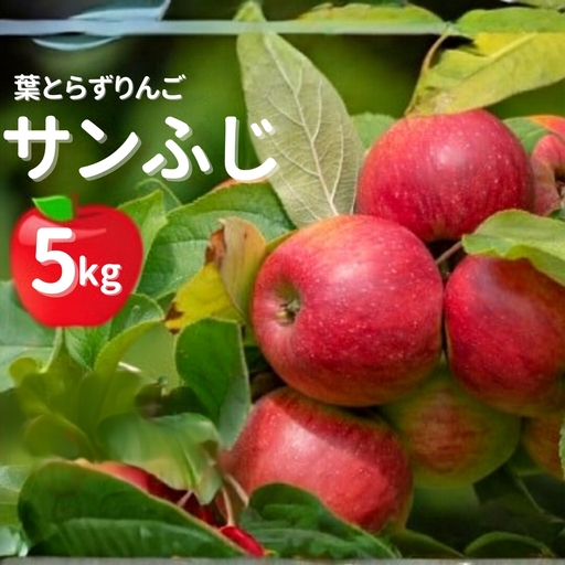 [先行予約]令和8年産 りんご 葉とらずりんご ふじ 約5kg (14~16玉程度) | リンゴ 林檎 果物 くだもの フルーツ 産地直送 お取り寄せ 新潟県五泉市産 佐藤りんご園