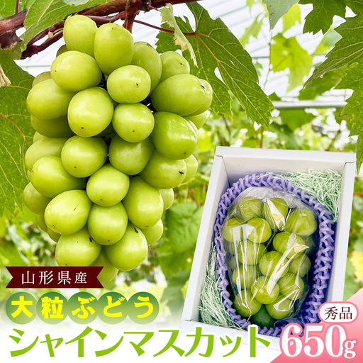 [先行予約]山形県産 シャインマスカット 秀品 650g(1房) 令和8年産 [2026年9月中旬頃から10月下旬頃発送予定]※配送不可 沖縄・離島