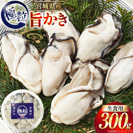 牡蠣 むき身 極粒旨かき 生食用 300g 1p 【期間限定発送】