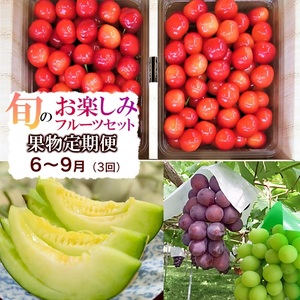 【フルーツ定期便】【令和9年産】 さくらんぼ・メロン・大粒ぶどうの詰合せ (計3回) 山形県鶴岡産 産直あぐり 