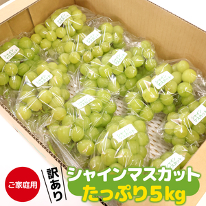 【先行予約】 《ご家庭用》令和8年産 訳ありシャインマスカット たっぷり５kg （8～12房）山形県産 2026年産 【2026年9月上旬頃～10月中旬頃発送予定】※配送不可 沖縄・離島　034-B-HK025