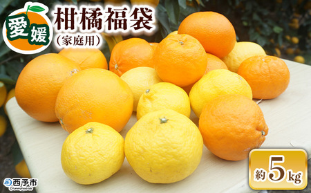【先行予約】＜笑丸のお楽しみ柑橘福袋（家庭用）約5kg＞ 自宅用 訳あり 果物 くだもの フルーツ ミカン みかん 蜜柑 高級柑橘 詰め合わせ 春柑橘 春みかん 夏柑橘 特産品 笑丸 愛媛県 西予市 常温『2027年1月～5月に順次出荷予定』AAN0085