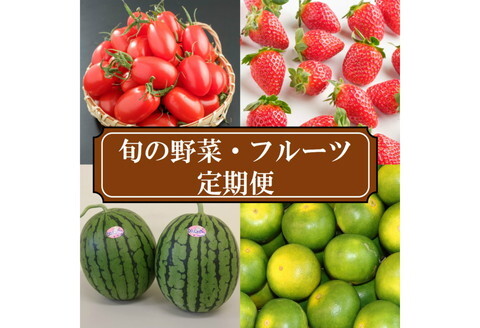 旬の野菜・フルーツ定期便4回【8007-3】