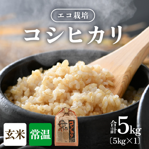 [先行予約][令和8年産 新米]エコ栽培コシヒカリ 玄米5kg / 鮮度抜群 福井県産 こしひかり ご飯 新鮮 玄米 ※2026年10月上旬以降順次発送 [aw063-a021]