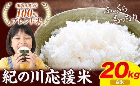 米 20kg 紀の川応援米 