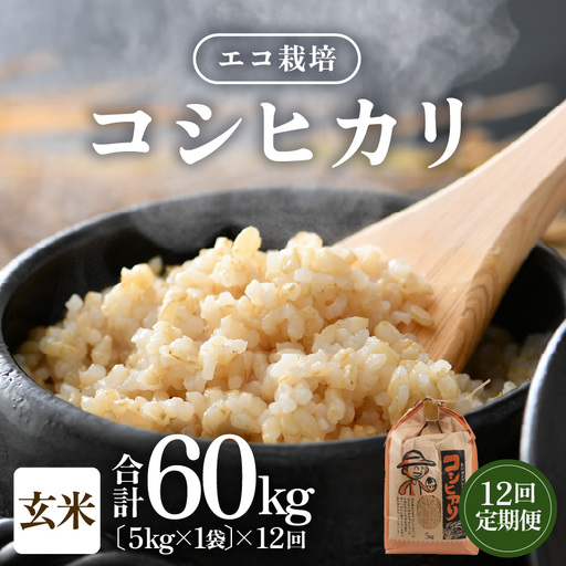 【先行予約】【令和8年産 新米】【一等米】定期便 ≪12ヶ月連続お届け≫ エコ栽培コシヒカリ  玄米5kg×12回 計60kg ／ 鮮度抜群 福井県産 こしひかり ご飯 新鮮 玄米 ※2026年10月上旬以降順次発送 [aw063-j006]