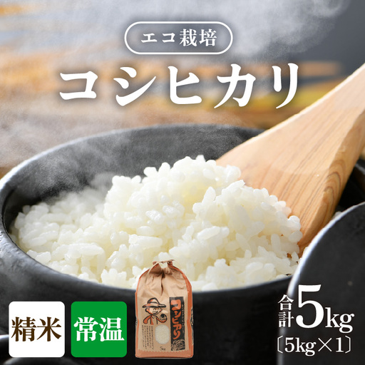 [先行予約][令和8年産 新米][一等米]エコ栽培コシヒカリ 白米5kg / 鮮度抜群 福井県産 こしひかり ご飯 新鮮 白米 ※2026年10月上旬以降順次発送 [aw063-a030]