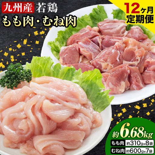 【12ヶ月定期便】 九州産若鶏もも肉（310g×8袋）・むね肉（600g×7袋）セット  鶏肉 お肉 モモ肉 もも肉 ムネ肉 むね肉 2種類 小分け 冷凍 九州産 国産 熊本県 菊池市 送料無料《お申込み翌月から出荷》
