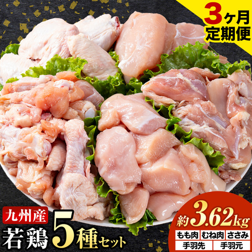 【3ヶ月定期便】 九州産若鶏もも肉 むね肉 ささみ 手羽先 手羽元 セット 計3.62kg 鶏肉 お肉 モモ肉 ムネ肉 5種類 詰め合わせ 小分け 冷凍 九州産 国産 熊本県 菊池市 送料無料《お申込み翌月から出荷》