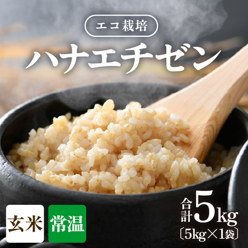 [先行予約][令和8年産 新米][一等米]エコ栽培ハナエチゼン 玄米5kg / 鮮度抜群 福井県産 はなえちぜん ご飯 新鮮 玄米 ※2026年9月上旬以降順次発送予定 [aw063-a024]