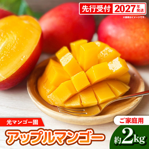 [先行受付][2027年発送]光マンゴー園の家庭用アップルマンゴー約2kg(4〜6玉)白箱 - ご自宅用 先行予約 沖縄県産 産地直送 南国フルーツ 旬の味覚 オススメ 沖縄県 八重瀬町