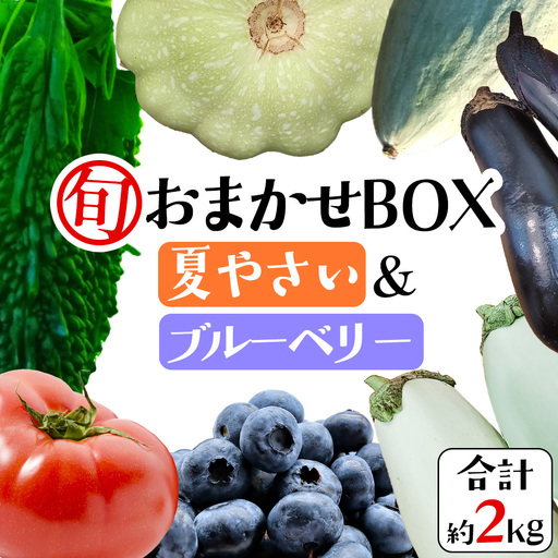 夏野菜 と ブルーベリー の おまかせBOX 計 約2kg | 野菜 果実 果物 おまかせ 旬 新鮮 大容量 くだもの フルーツ おやつ ブルーベリー ベリー ジャム 小分け セット 詰め合わせ 詰合せ 夏バテ [DZ019sa]
