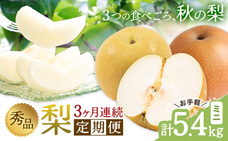 秀品 3ヶ月連続 梨の定期便 ミニ 計5.4kg 日本フルーツ株式会社[8月上旬-10月末頃出荷]熊本県 荒尾市 梨 なし 豊水梨 秋月梨 新高梨 果物 フルーツ 定期便
