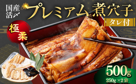 飯田商店 国産活〆 プレミアム 煮穴子 500g（ 250g×2袋 ）  タレ（50g）付 魚介 魚介類 鮮魚 海鮮 魚 お魚 煮込み あなご 穴子 煮穴子 おかず 惣菜 