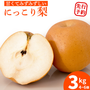 [農家直送]梨 にっこり 4〜6個 (3kg) 先行予約 2026年発送 完熟 フルーツ 果物 産地直送 糖度 高い 梨 茨城 人気
