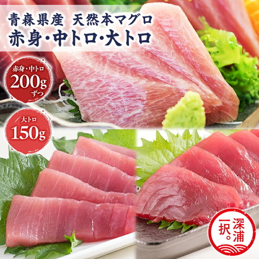 天然 本マグロ 赤身 中トロ 大トロ 3種セット 国産 本鮪 [fu-0012-002]