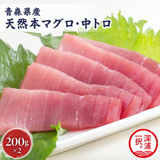 天然 本マグロ 中トロ 計400g 国産 本鮪 [fu-0012-008]