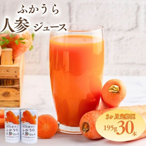 3カ月定期便 ふかうら 人参 ジュース 195g 30本 [fu-0009-003]