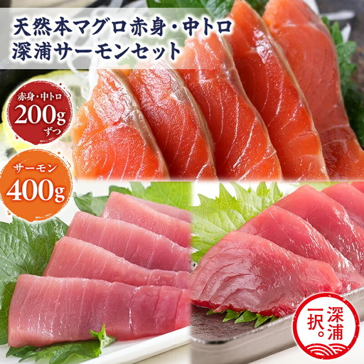 青森サーモン＆天然 本マグロ 赤身 中トロ セット 計800g 国産 青森 サーモン 本鮪[fu-0012-007]