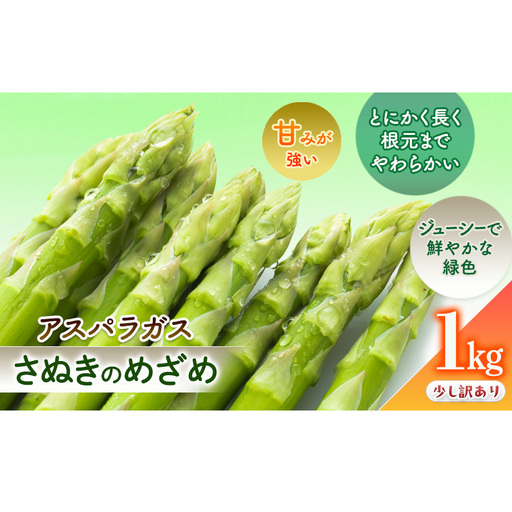 少し訳ありSWANの特選アスパラ1kg[さぬきのめざめ] 野菜 野菜セット アスパラガス 訳ありアスパラ