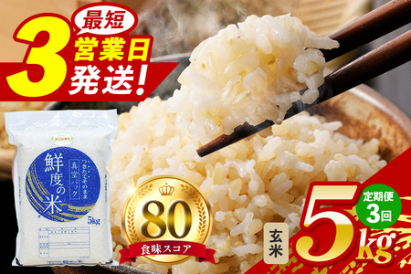 [定期便3回]こしひかり 玄米 5kg (計15kg) 真空パック