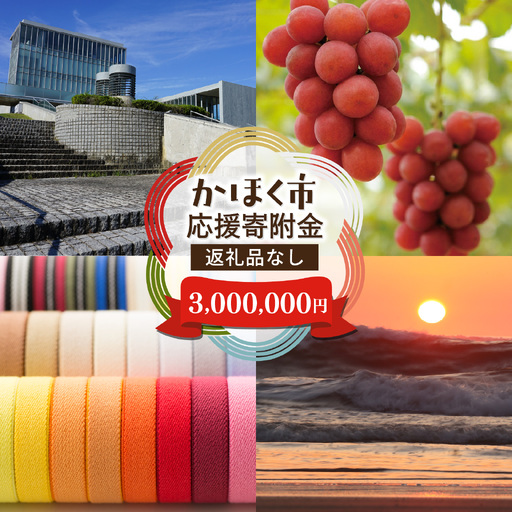 【返礼品なし】石川県 かほく市 応援寄附金 3,000,000円分 | 支援 純粋寄附