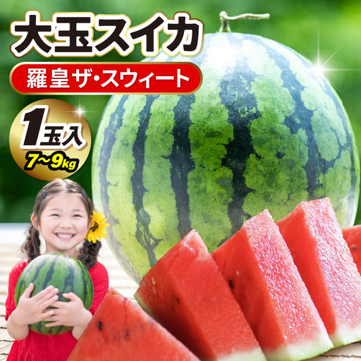 大玉スイカ 羅皇ザスウィート 1玉入り 7～9kg (大玉) 2027年7月中旬以降順次発送 すいか スイカ フルーツ [A-16210]