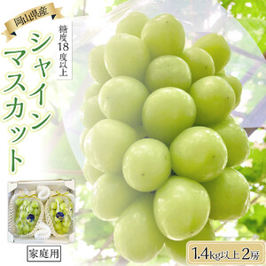 家庭用 2026年 糖度18度以上 岡山県産 シャインマスカット 700g以上 2房 1.4kg以上  ＜9月以降発送＞