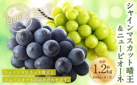 岡山県産 シャインマスカット 「 晴王 」 と ニューピオーネ 3Lサイズ 計約1.2kg ぶどう ブドウ 葡萄 くだもの 果物 果実 フルーツ 国産 マスカット 【 2026年8月下旬～9月下旬発送予定 】