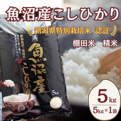 [令和8年 先行予約]魚沼産コシヒカリ棚田米 5kg 佐藤農場 | 新潟県 コシヒカリ おこめ