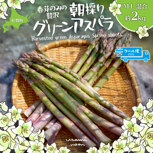 【先行予約】【2027年4月中旬頃より発送】朝採りグリーンアスパラ（春芽）M-L混合 約2kg 北海道壮瞥町産 SBTAJ034