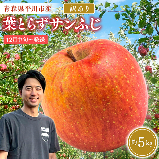 りんご  家庭用 葉取らずサンふじ 約5kg 青森県平川市産　[hi-0036-013]
