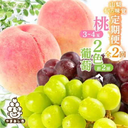 【発送月固定定期便】山梨旬の味覚定期便【桃 約1kg/2色葡萄 1kg以上】全2回【配送不可地域：離島】【4082867】
