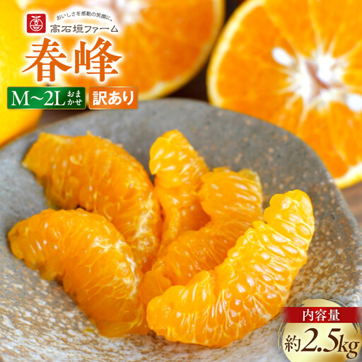 訳あり 春峰 2.5kg M～2Lサイズおまかせ 高石垣ファーム